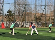 熊猫直播- 板球比赛视频 