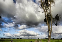 熊猫体育- 曼城人评价瓜迪奥拉 